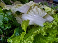 -蒙星月涮肚火锅城(宏运家园店)