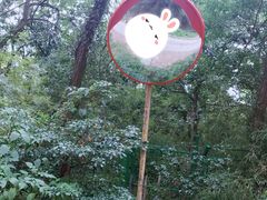 -上海佘山国家森林公园西佘山园