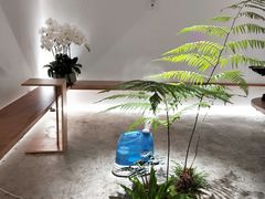 -光作面包Voila Lumiere(中山店)