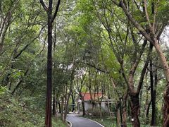 -广州雕塑公园