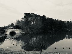 -上海海湾国家森林公园