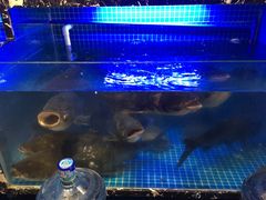 -姜君·千岛湖鱼头馆(浦东大道店)