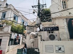 -溪岸路花鸟市场