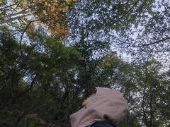 -杭州半山国家森林公园