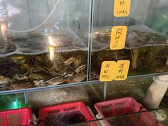 -辉记虾塘海鲜农庄