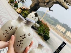 -寻龙山风景旅游区