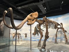 -辽宁古生物博物馆