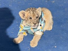 -鄂尔多斯野生动物园