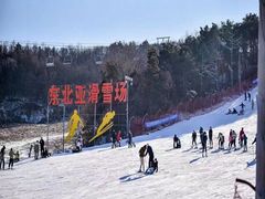 -东北亚滑雪场