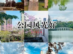 -四海公园(南山区)