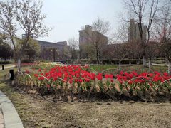 -江南大学(蠡湖校区)