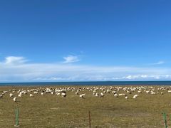 -青海湖国家重点风景名胜区