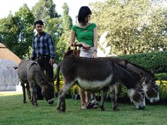 景点-清迈夜间动物园
