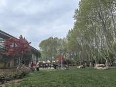 -郑州植物园
