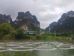 -明仕田园