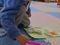 -上海松江区启星幼儿园
