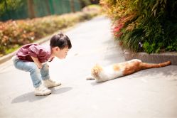 点击看大图 -BabyA 专业婴童摄影(古北时尚广场店)