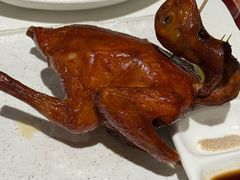 -侨美·唐荔园·40年地道粤菜