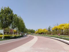 -武清南湖绿博园