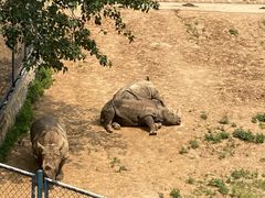 -大连森林动物园