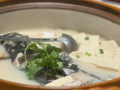-全乐鱼馆·淳牌有机鱼直营店
