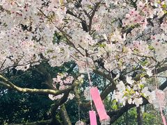-杭州少年儿童公园
