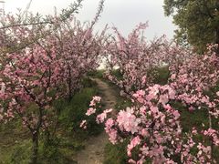 -韩湘水博园