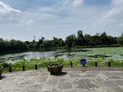 -桃花岛景观公园