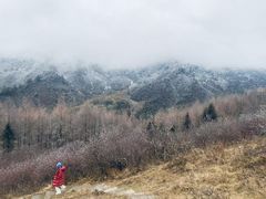 -硗碛藏寨·神木垒景区