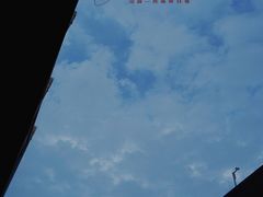-Seesaw Coffee(上生新所店)