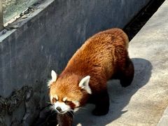 -水上乐园·欢乐世界