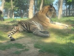 -西霞口神雕山野生动物世界