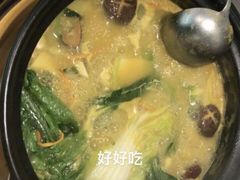 -顺德公猪肚鸡·椰子鸡(惠东天虹店)
