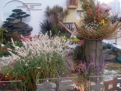 -重庆市江北嘴中央商务区中央公园