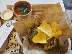 -油梨树 AVOCADO TREE(亮马桥店)