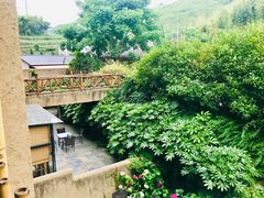 -看见远方·莫干遥远的山民宿