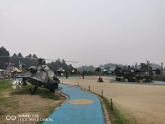 -空港花田景区