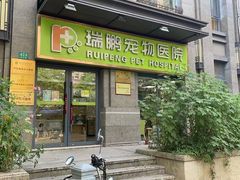 -瑞鹏宠物医院犬猫全科(真大分院)