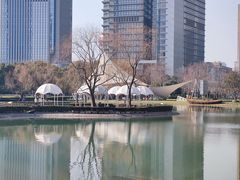 -陆家嘴中心绿地