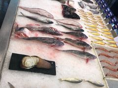 -莆鑫海鲜城(浏河店)