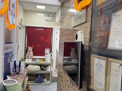 -芭比堂动物医院·心脏科·老年急重症·夜诊·吉雅分院