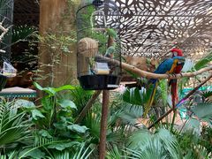 -杭州开元森泊度假乐园