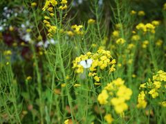 -杭州城北体育公园