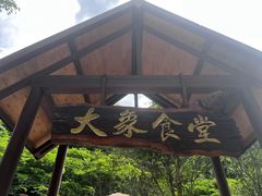 -野象谷景区