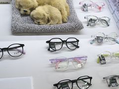 -罗伯特眼镜·蔡司官方授权(罗湖国贸店)