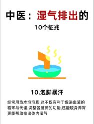 -Fundi张玉珊修身堂·indiba·BTL科技瘦身