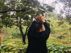 -十渡高山漂流