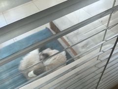 -美迦爱-牙专科·兔科·骨科诊疗中心(北苑店)