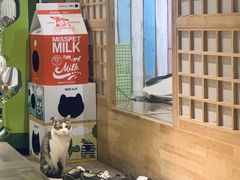 -小时光咖啡馆(开森度假森林店)