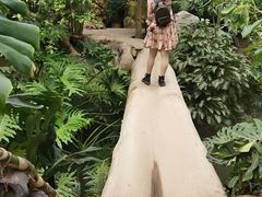 -南通洲际绿博园